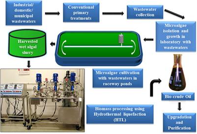 Feasibility of Utilizing Wastewaters for Large-Scale Microalgal Cultivation and Biofuel Productions Using Hydrothermal Liquefaction Technique: A Comprehensive Review